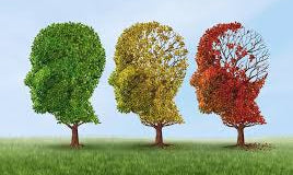 Menopause, HRT, Dementia and the GP visit